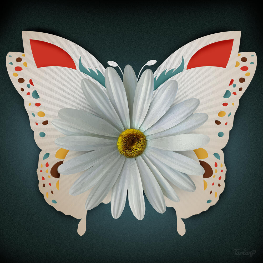 White-Butterfly White-Butterfly